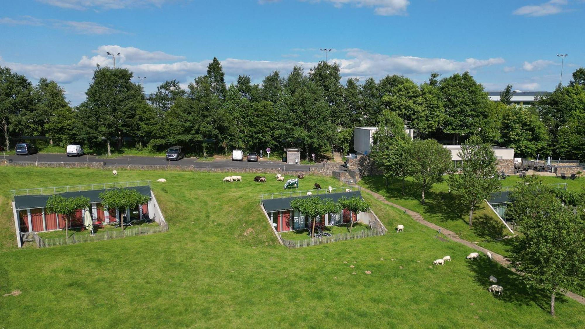 Les Collines De Sainte-Fereole Hotel Bagian luar foto